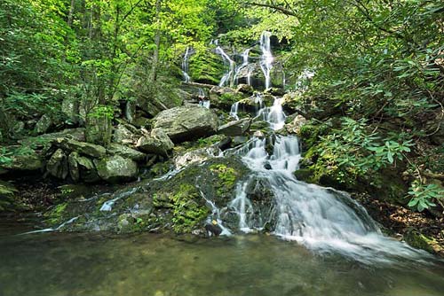 Yoga Hikes!